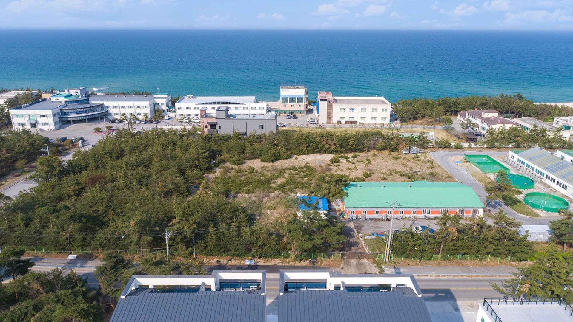 Gangneung Joeungot Poolvilla Exterior photo